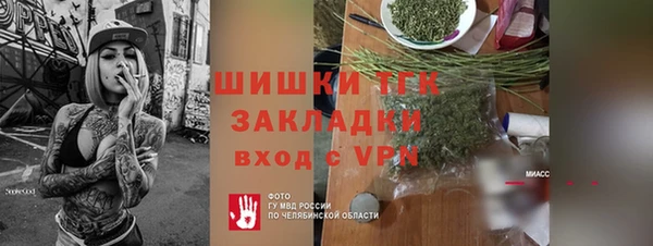 дживик Богородицк