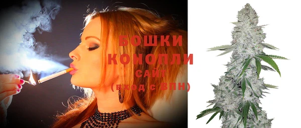 дживик Богородицк
