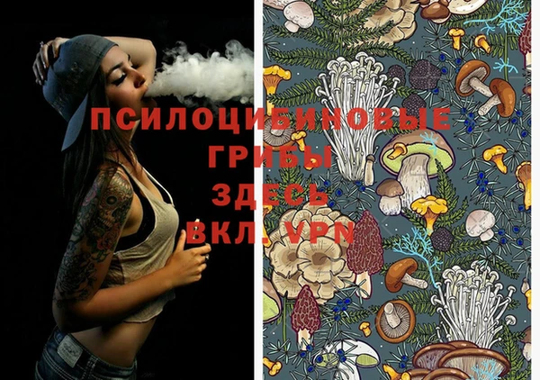 не бодяженный Богородск