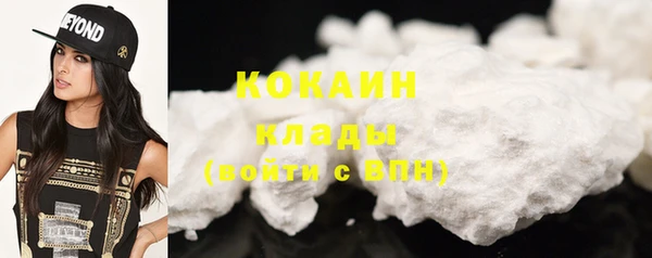 метадон Богданович