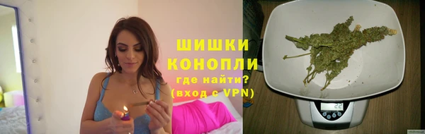 метадон Богданович