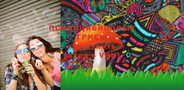 дживик Богородицк