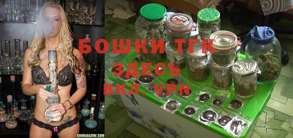 дживик Богородицк