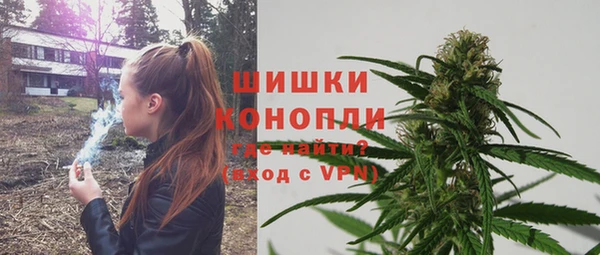 метадон Богданович