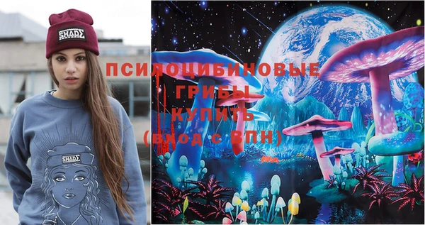 метадон Богданович