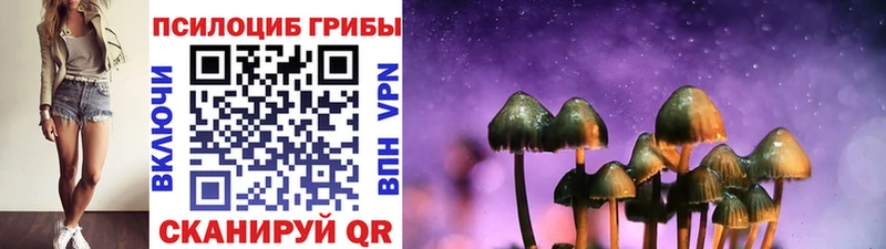 Псилоцибиновые грибы MAGIC MUSHROOMS  hydra зеркало  Минеральные Воды  где купить наркоту 